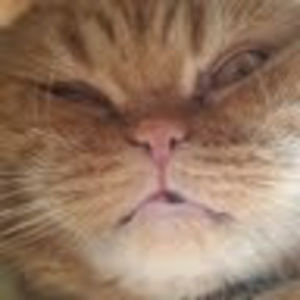 Meet your Posher, Rita